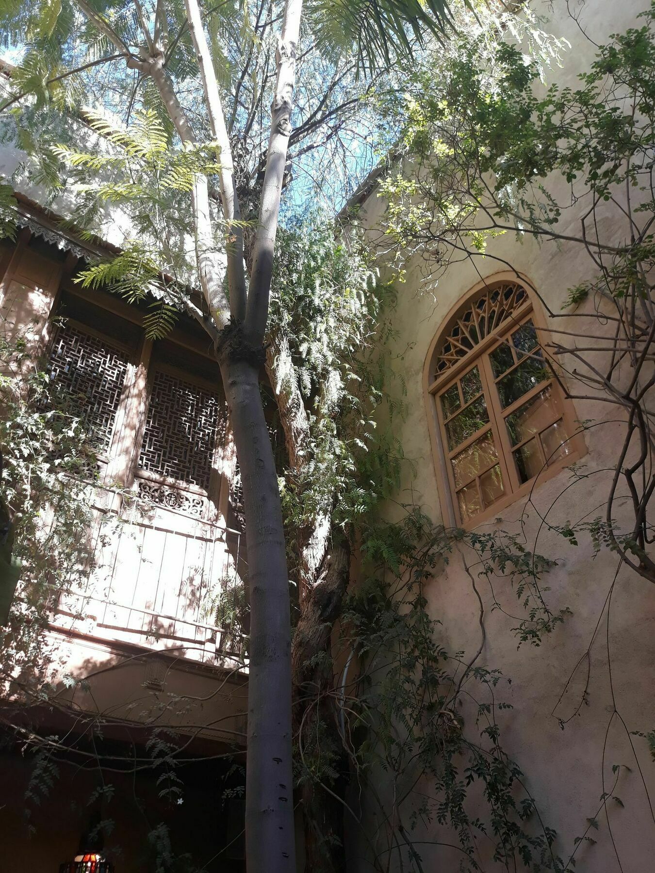 מרקש Riad Kbour & Chou מראה חיצוני תמונה